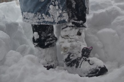 Когда снега станет меньше, весна придаст сил