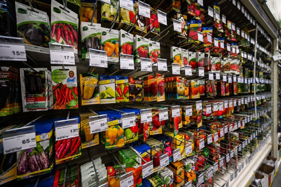 ��� ������� ������ ������ ��� �������� �������