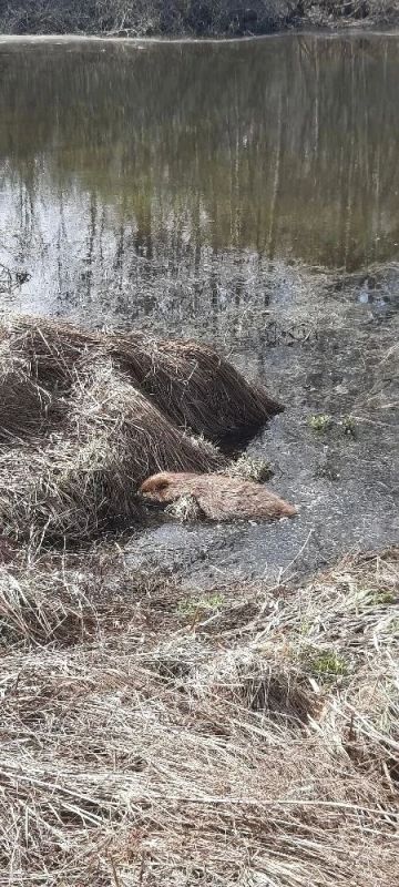 15 ������ � �������-������������ ����� ��������� ��������� ��������� �� ������ �����: ����� �������� � ����� �� ����� ���� ����������, � ��������� �� �����