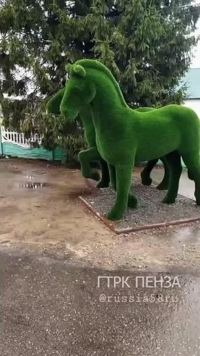 ������ ������, ������, � ������� �������� ����� 20 �����!