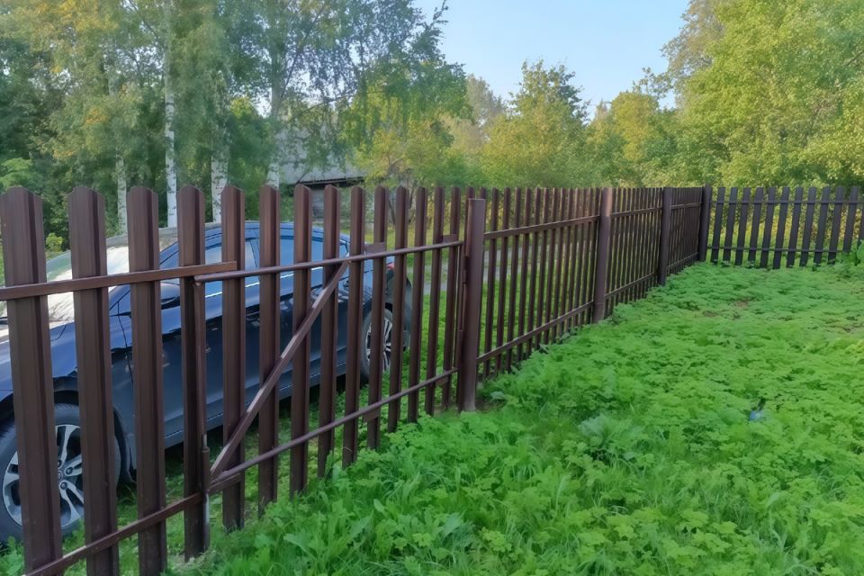 ������� ���� �� ����������� �������������: ��� �������� ���� ��� �� ��������