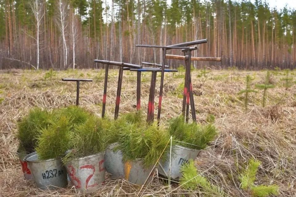 ���� �����������: ���������� ����� � ���� �� ����������� ���������� �������������� ������������