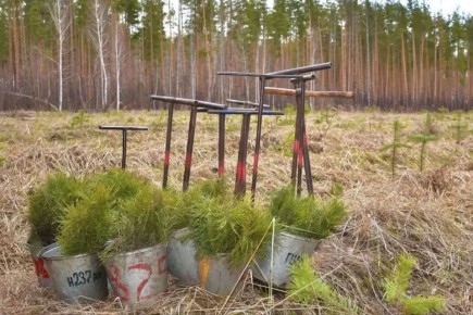 ���� �����������: ���������� ����� � ���� �� ����������� ���������� �������������� ������������