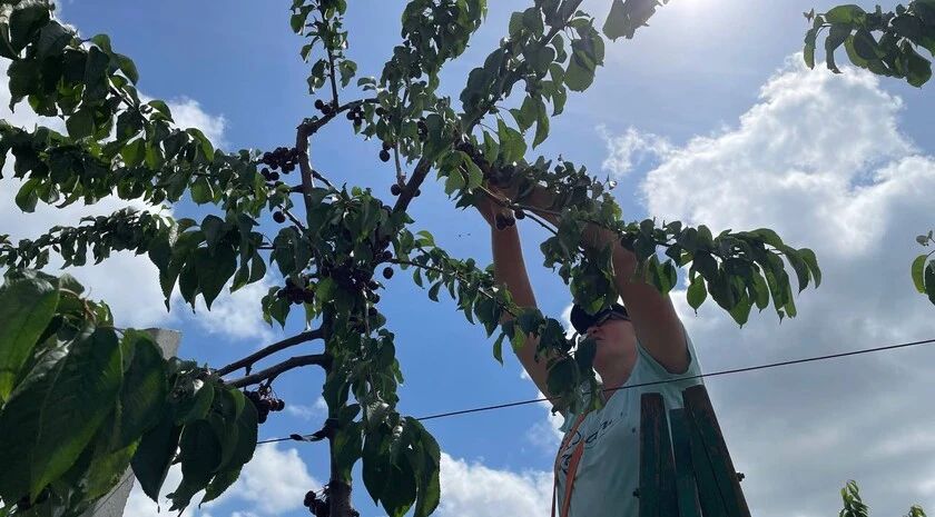 ���������� ��������� ����������� ���������� �� �������� ������� � ����������� �������