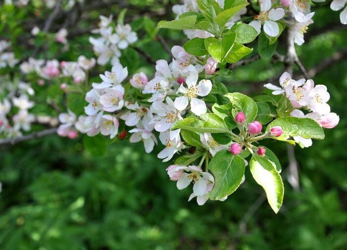 ��� ���������� ������� ������ � ���������� � ���� ��������