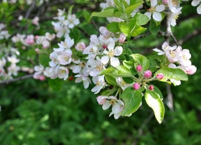 ��� ���������� ������� ������ � ���������� � ���� ��������