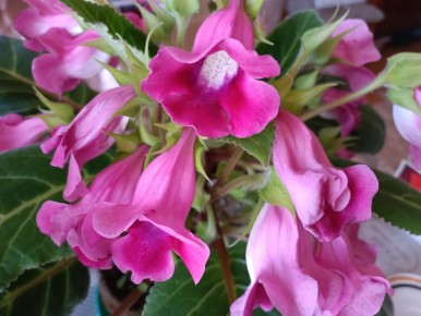 ��� ���������� ��������� �������� � ������ ������: ������� ����������� �����