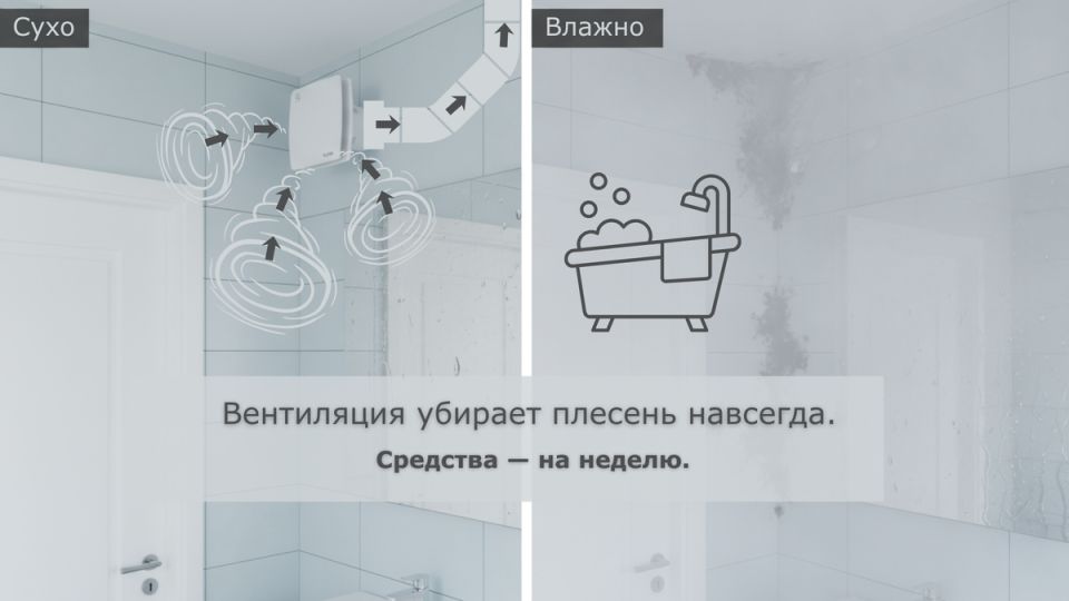 ��� �������� ���������� �� ������� � ������: ������� ������ � �������