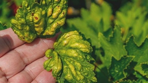 ������� � ���: ��� �������� ��������� ������ ������ ����