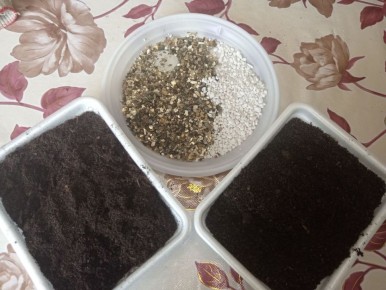 ��� ������� ��������� ����� ��� ������ � �������� ��������