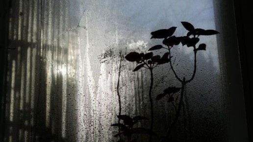 ������� � ����: ��� ��� �������� ������ �������� � ��� � ��� ��������