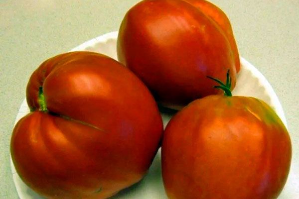 ������ ������������ �����: ������� ��������� ����������� �� ����� �������