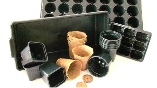 ��� ������� ���� ��� ������� �����: ������ � ������������ ������������