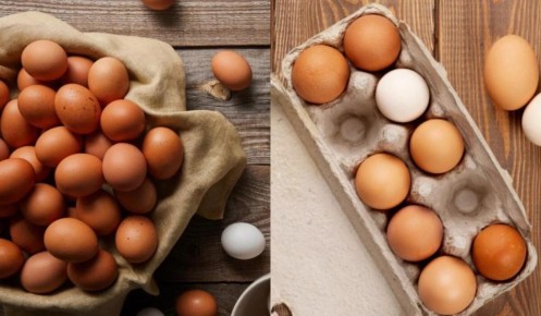 ��� ��������� ������� ���� �������: ������� � ������������