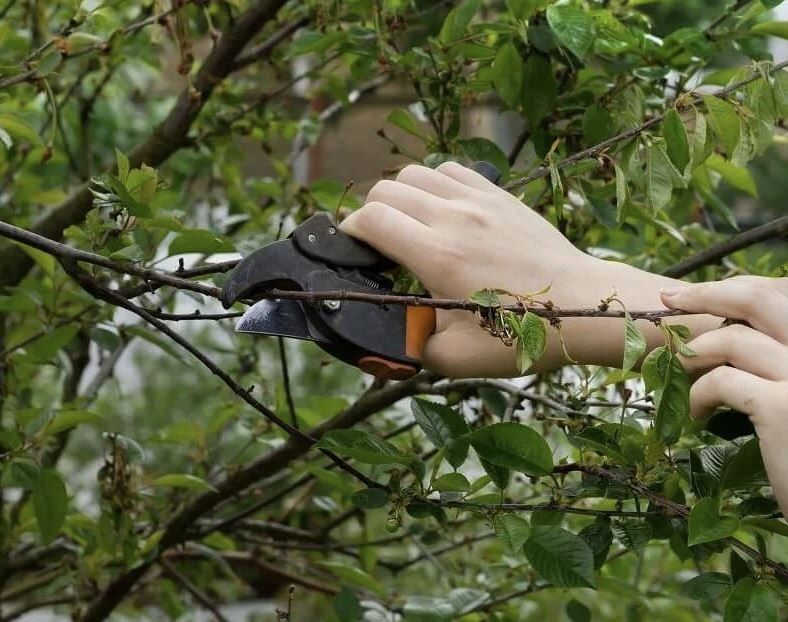 ������� ������� �����: ����� � ��� �� ��������� ������