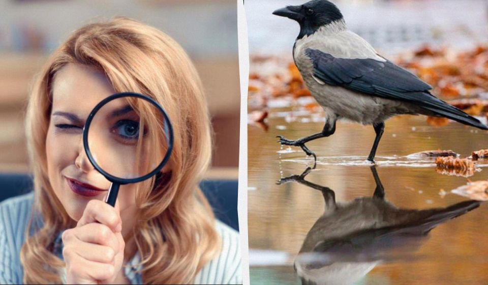 ������� ���� ��������������: ������� �� �� ����� ��� ������� �� 12 ������?