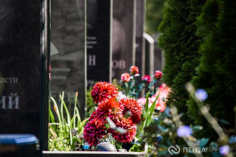 � ����� �� �������� ���������� ���������� ����� �� ���������� ��������