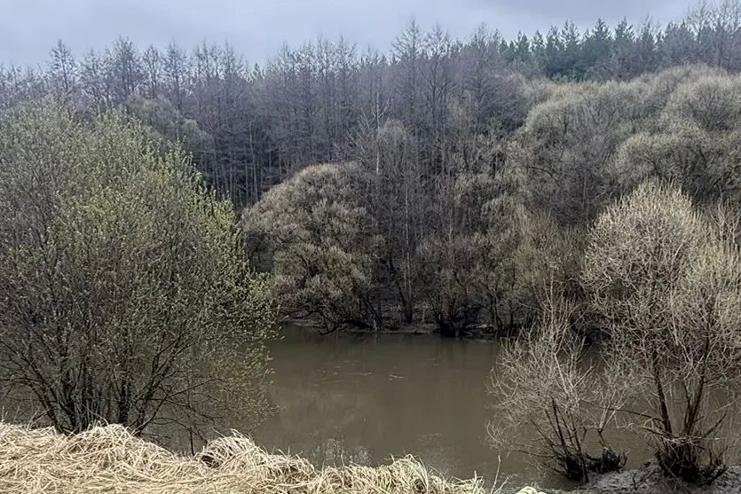 � �������������� ������ ���������� �������� �� ����� ����������� ���� ������� � �������