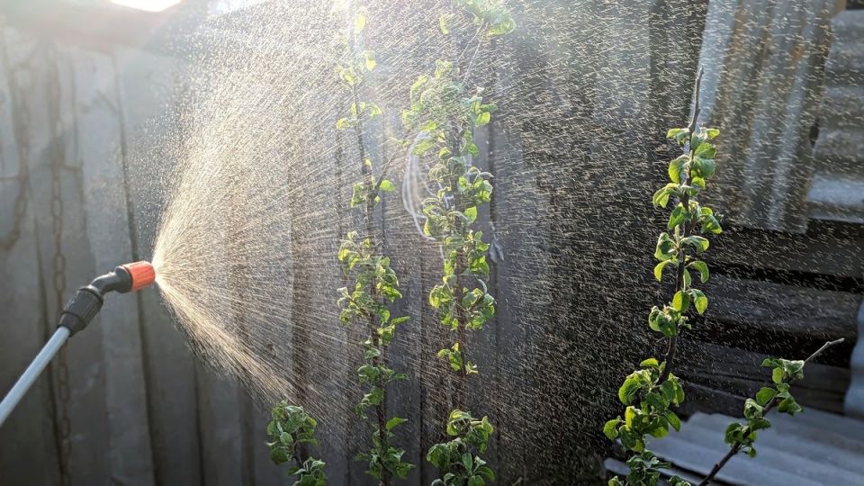 �������� ����������� �� ����� �� ��������: ��� �������� �������� �� �������� � ����������