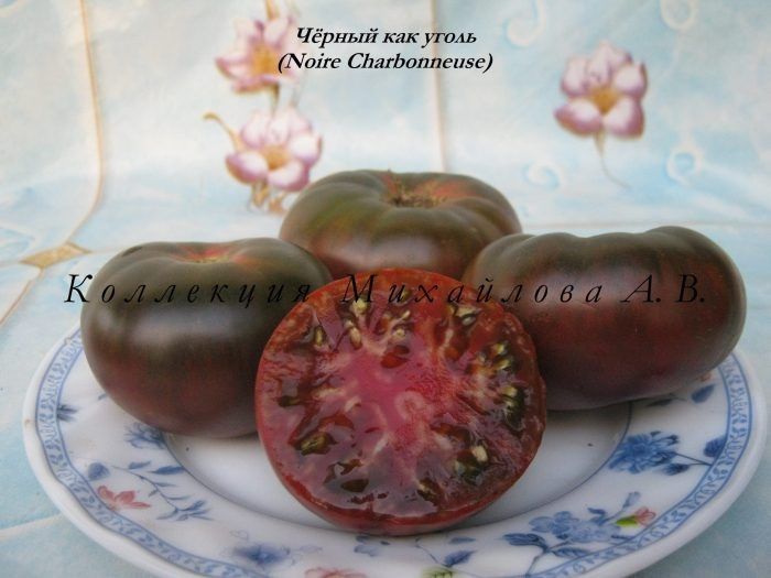 ����� ������ ��� �����: ������ ���� � ���������� ���� � ����� �����