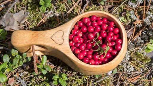 ����� �� ������: ����� ����� ������� �������� ��������