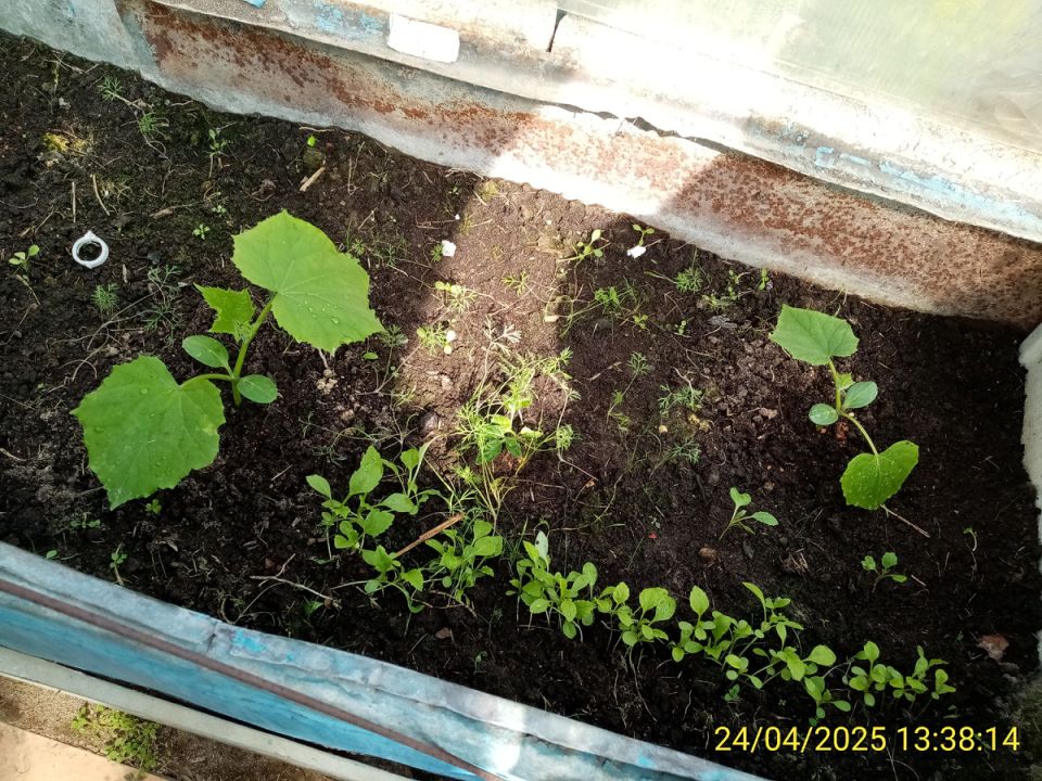 ������ ������ � �������: ������� ��������� ������ �������� �� �����