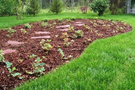 ��� ��������� ������ �����: ������ � �������