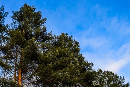 � ���������� ������� �������� ��������� ����� � ���� ����������� ����� � �����