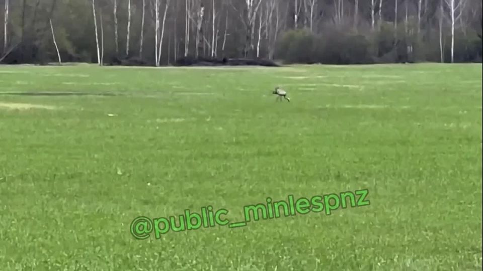 ������ �����: ������������� ������� ��� ������� � ���������� ������