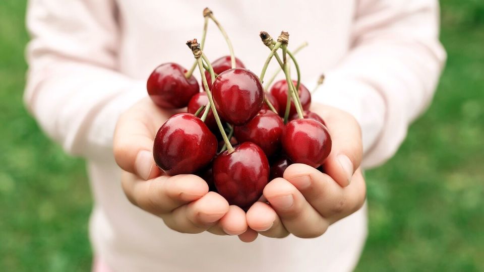 ��� ������� �������� �������: ������ ���������