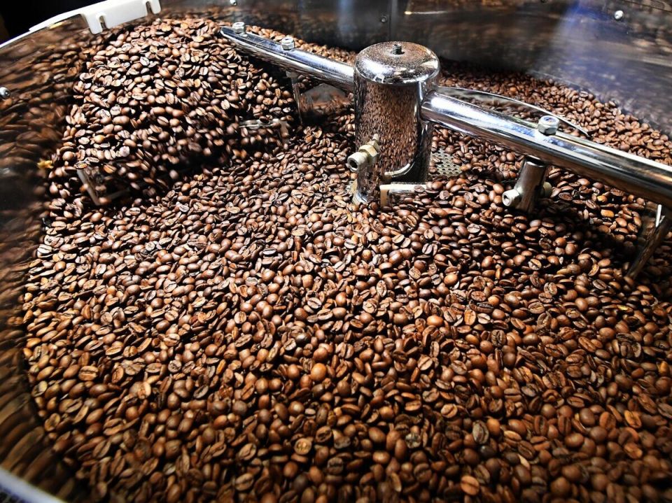 ������� ���� �������: ���� ���� ������ �� ����� �����