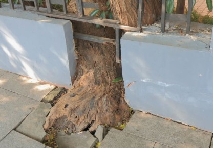 ������� ������� ��� ������ ����: ����� ���� ����� ��������