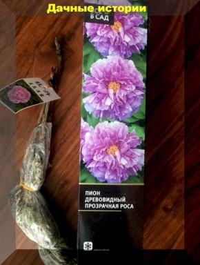 ��� ��������� ������� ������ �� �����: ������ ��� ���������