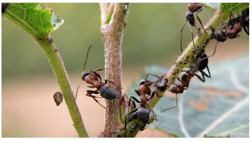 ����������� � ���������� ������� ������ � ��������� � ����