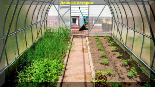 ��� ��������� ����������� ������� � ������� ������: ������ ��� ��������