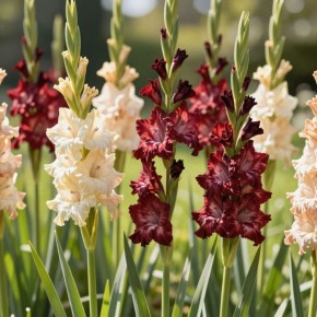 ��� ����������� ���������� � ������� ��� ������� ��������