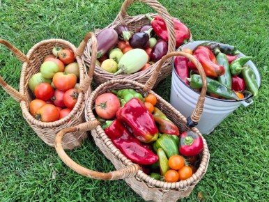 ��� ��������� ������� ������������ ����� � ����: ���� � �����