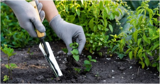 ������� ����� ������ �������: ��� �������� ������ �� ����������� ��������