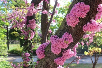 ������������ �������� ��� ������ ����: 10 ��������� �������