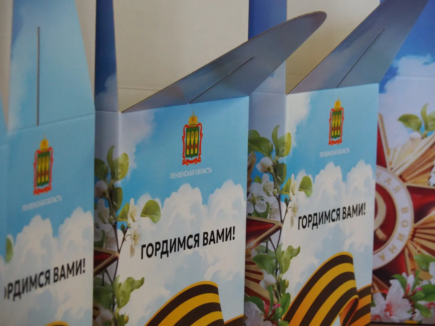В Пензенской области ветераны Великой Отечественной войны начали получать поздравления с Днем Победы
