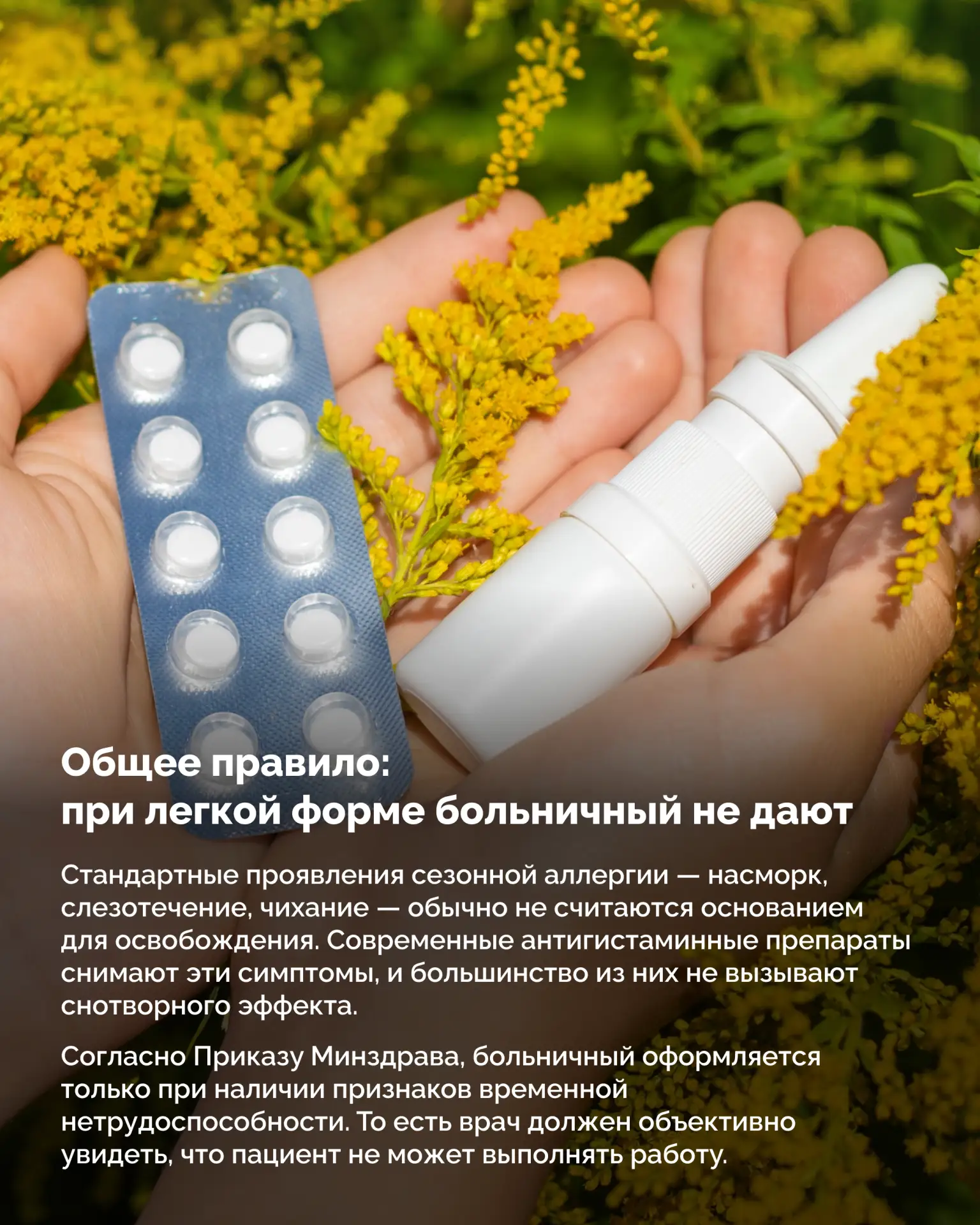 Пыльца березы, цветов, злаковых трав в воздухе — признаки приближающегося лета для обычных людей и настоящее испытание для аллергиков Пыльца березы, цветов, злаковых трав в воздухе — признаки приближающегося лета для обычных людей и настоящее испытание для аллергиков