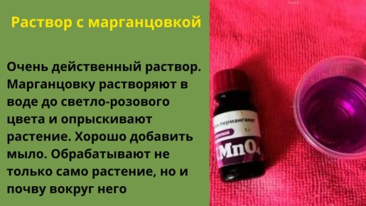 ��� ����������� ����� ������ ���� �������� �� �������� � ��������