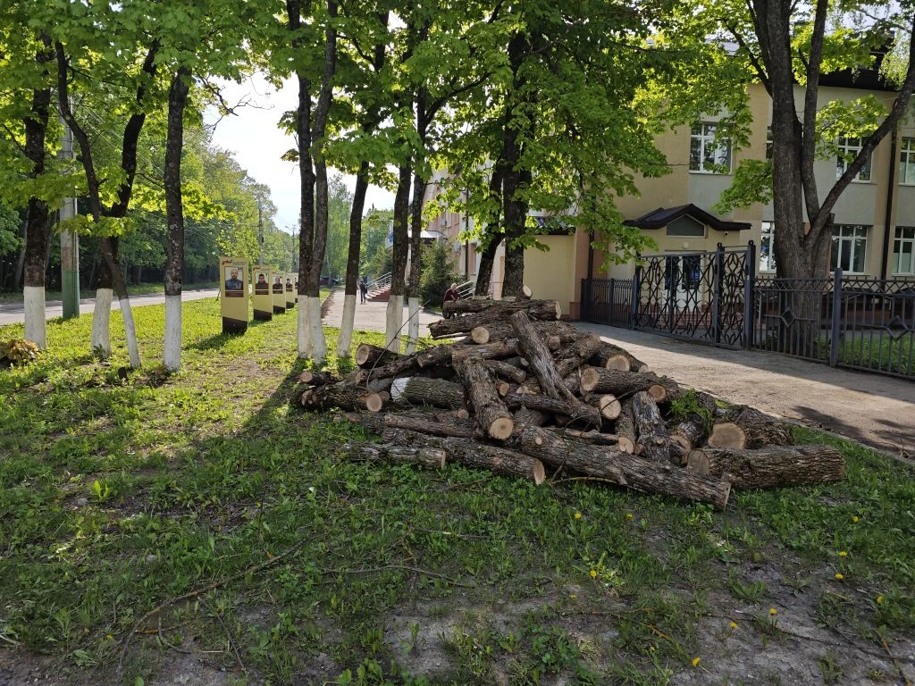 На улице Попова в Пензе, напротив здания регионального отделения фонда «Защитники Отечества», спилили деревья На улице Попова в Пензе, напротив здания регионального отделения фонда «Защитники Отечества», спилили деревья