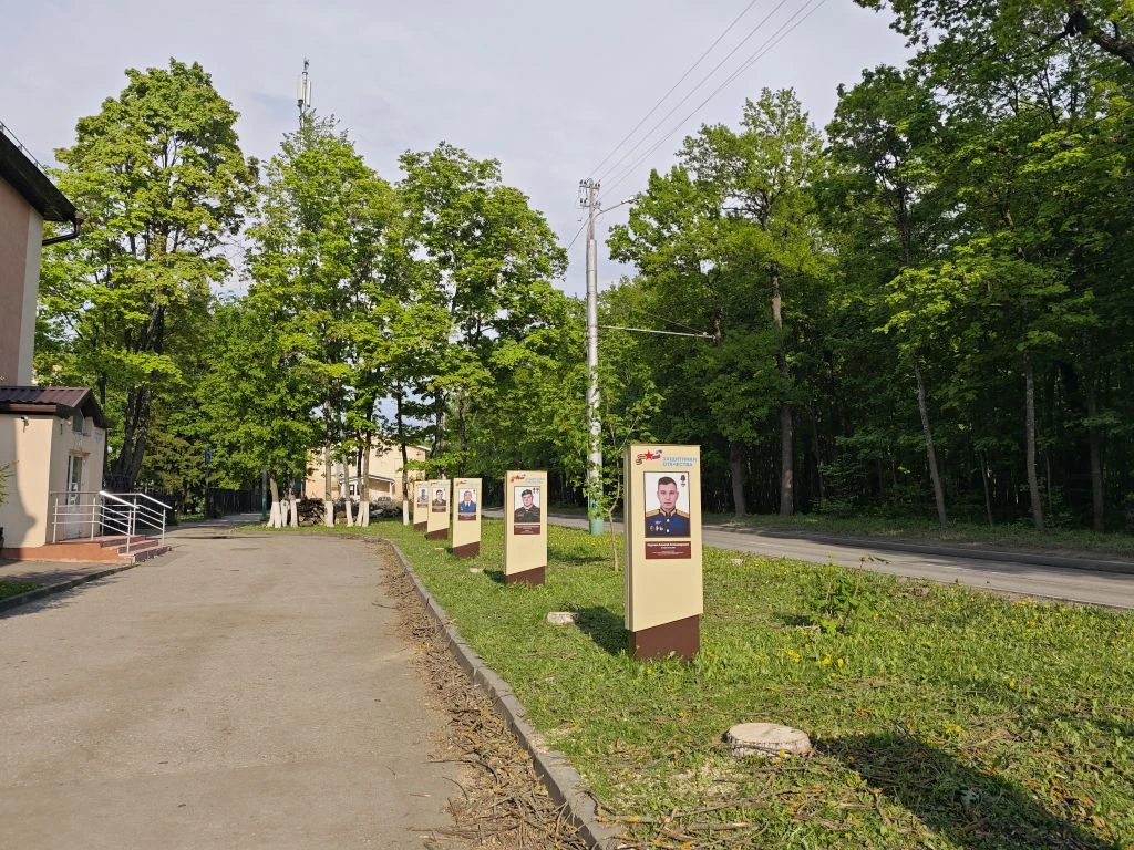 На улице Попова в Пензе, напротив здания регионального отделения фонда «Защитники Отечества», спилили деревья