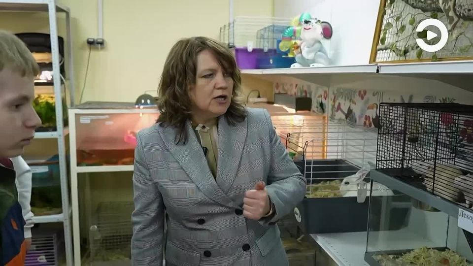 Доброе утро!. А вы слышали от своего ребенка: «давайте заведем зверушку?»