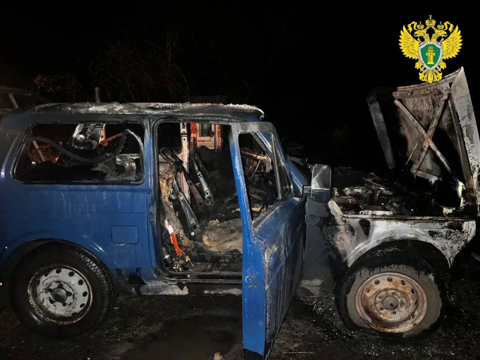В Сердобске вынесен приговор местной жительнице за поджог автомобиля