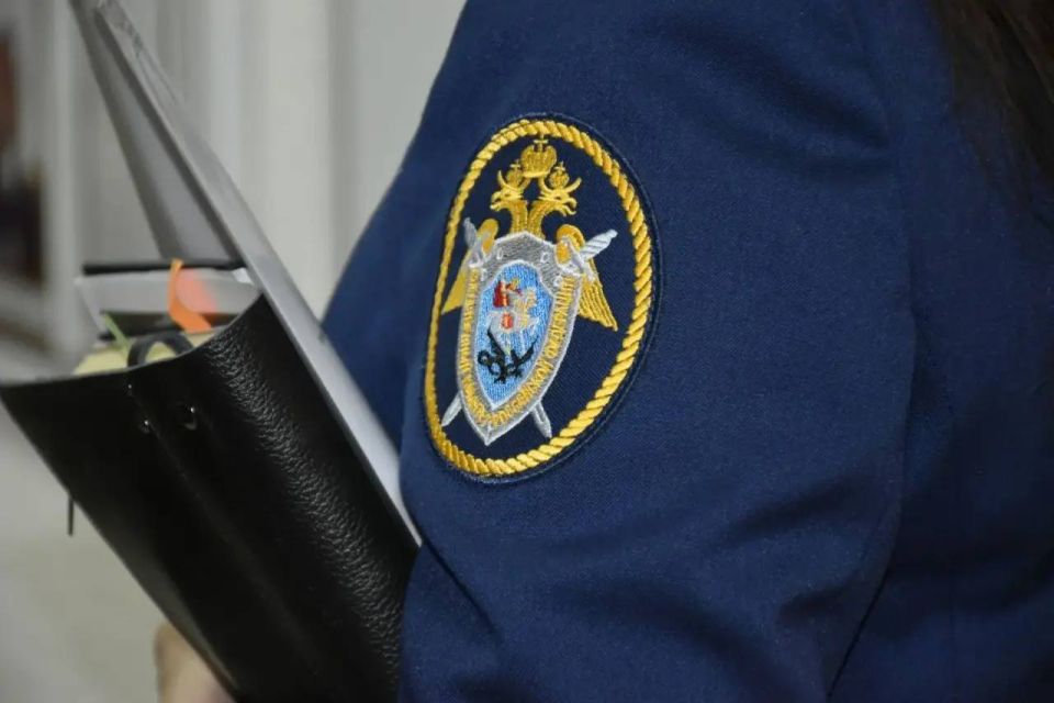 В Наровчатском районе следователи проводят проверку по факту смерти мужчины при пожаре В Наровчатском районе следователи проводят проверку по факту смерти мужчины при пожаре