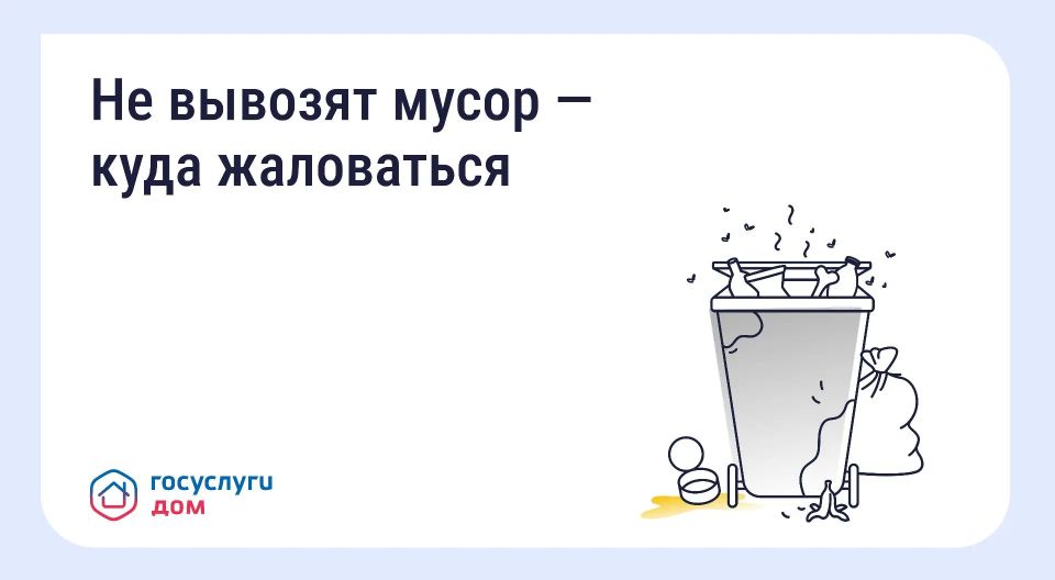 Не вывозят мусор — куда жаловаться?