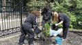 Студенты Многопрофильного колледжа ПГУ высадили около учебного корпуса № 16 на улице Карла Маркса туи