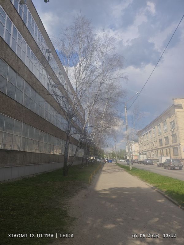 Наш читатель утверждает, что осенью на улице Гоголя, около «Электромеханики», ходили люди, которые сверлили отверстия в деревьях и что-то туда закачивали Наш читатель утверждает, что осенью на улице Гоголя, около «Электромеханики», ходили люди, которые сверлили отверстия в деревьях и что-то туда закачивали